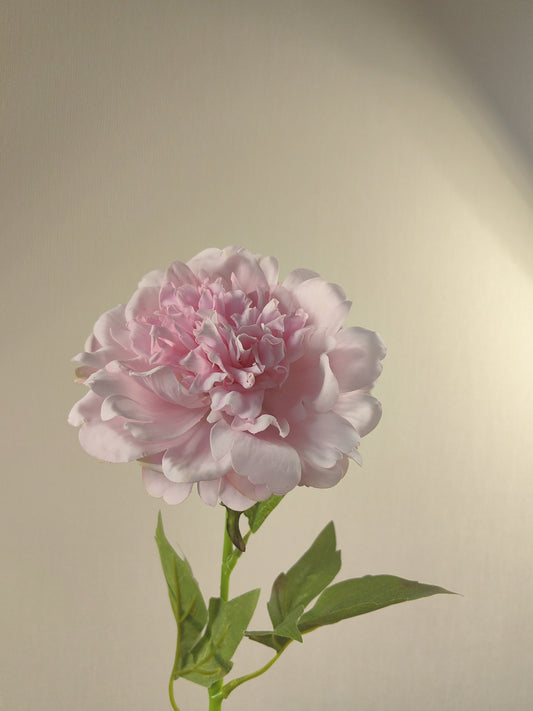 Blush Peony Artistic Faux Flower for Aesthetic Ambiance beflorist