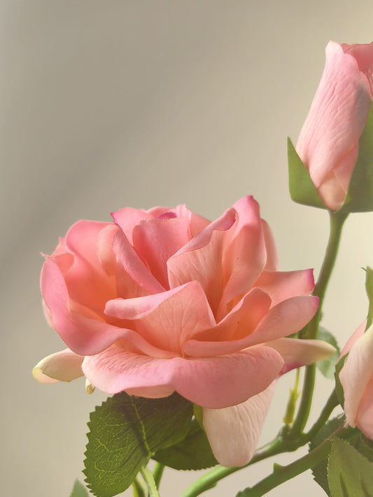 Pastel Pink Rose Artistry Lifelike Blooms for Ambiance beflorist