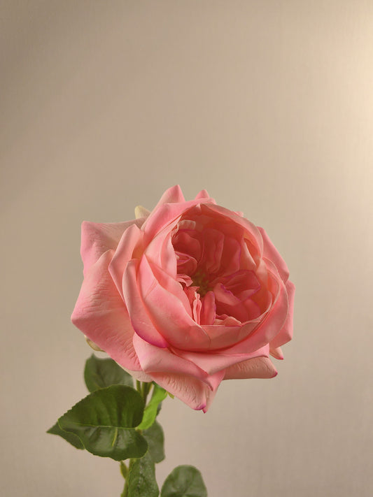 Pastel Pink Rose Artistry Lifelike Floral Accent beflorist