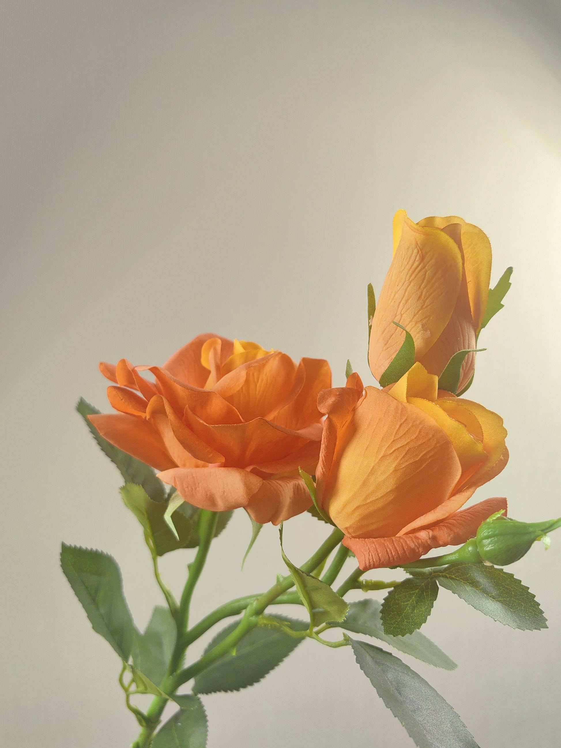 Vibrant Orange Rose Art Lifelike Faux Flower Stems beflorist